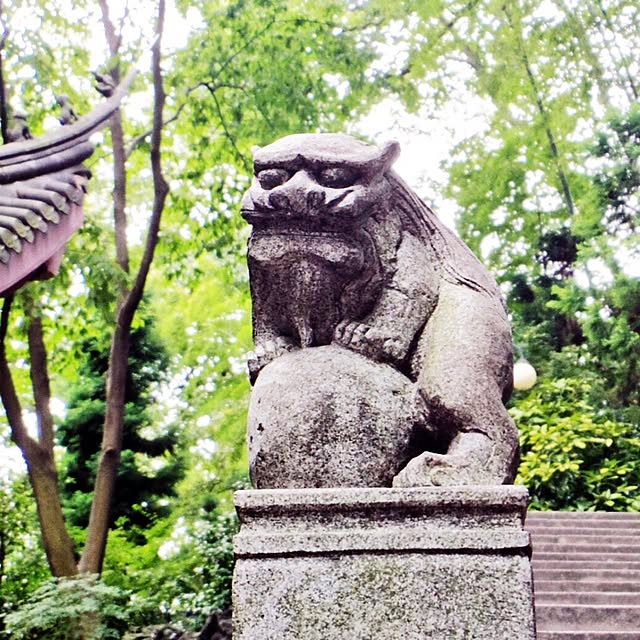 rkさんの実例写真