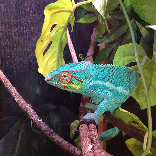 Peroさんの実例写真