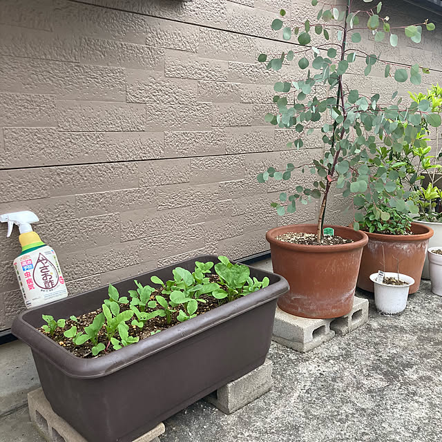 mamaさんの実例写真