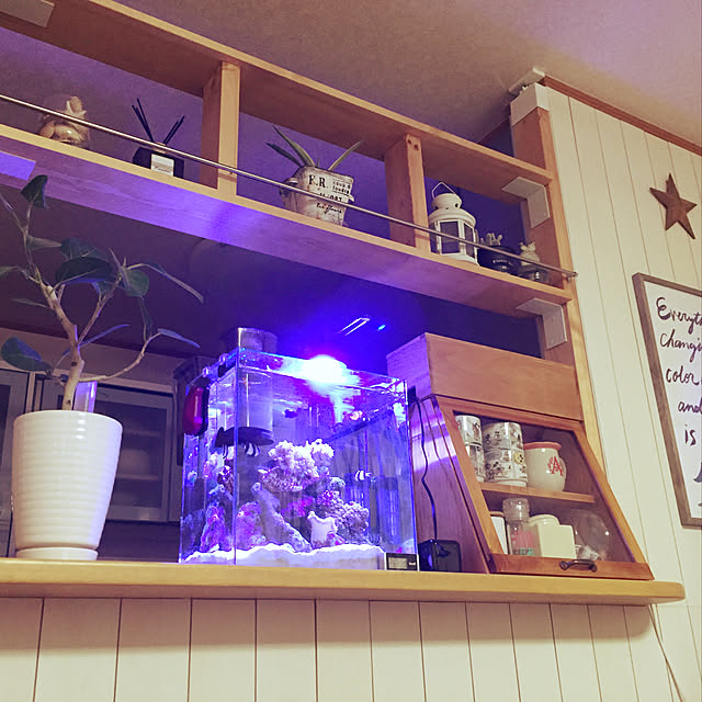 Ayakoさんの実例写真