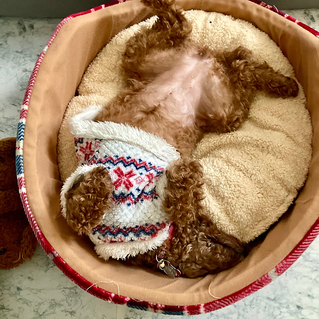 MOMOMAMAさんの実例写真