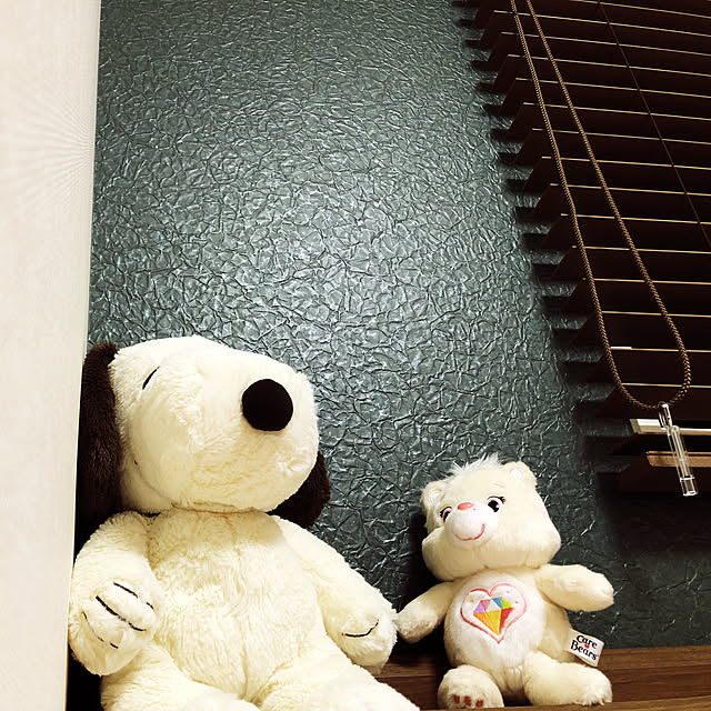 Shinoさんの実例写真