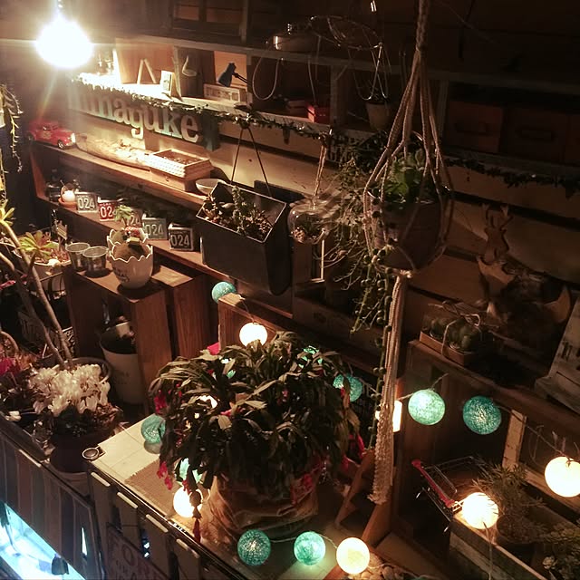 imaさんの実例写真