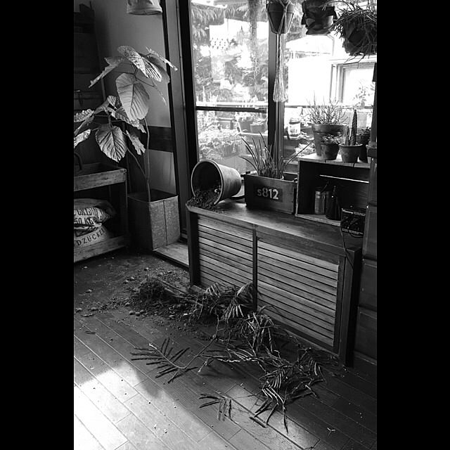 jnkaiさんの実例写真
