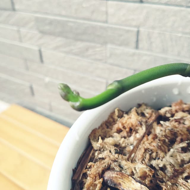 tan5さんの部屋