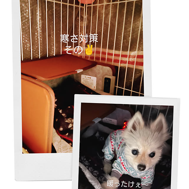 akaidarumaさんの部屋