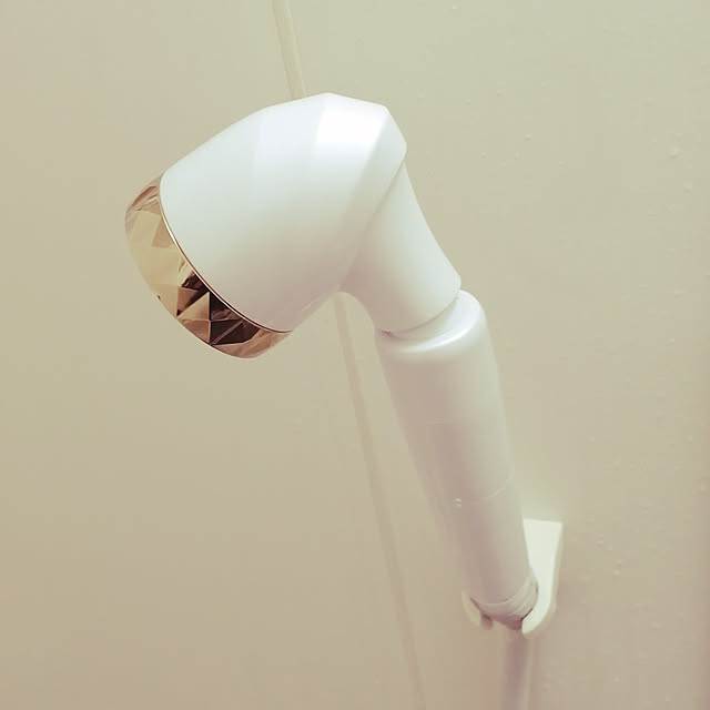 teruminさんの実例写真