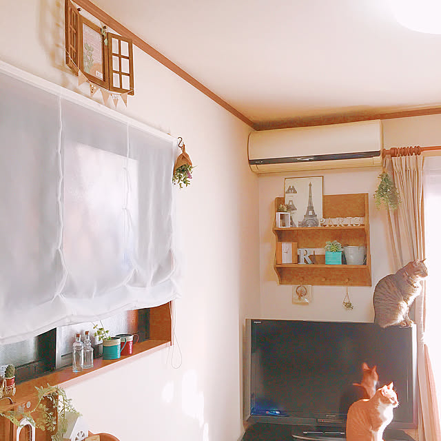 cocomaroさんの実例写真