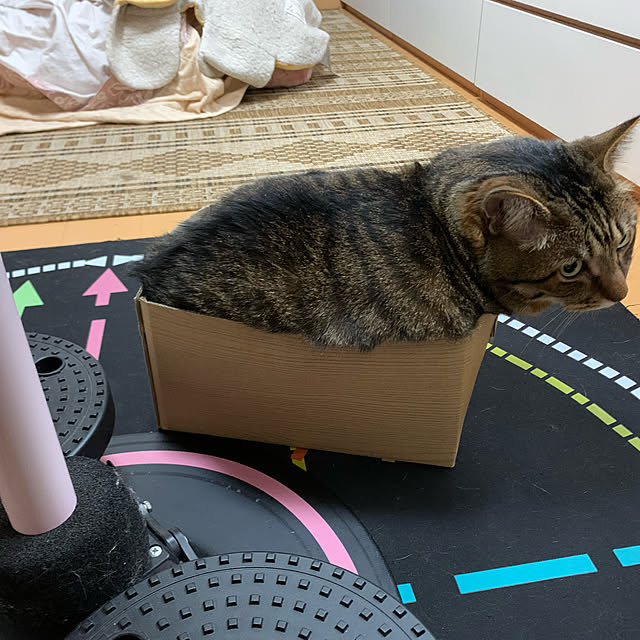 mohimikanさんの実例写真