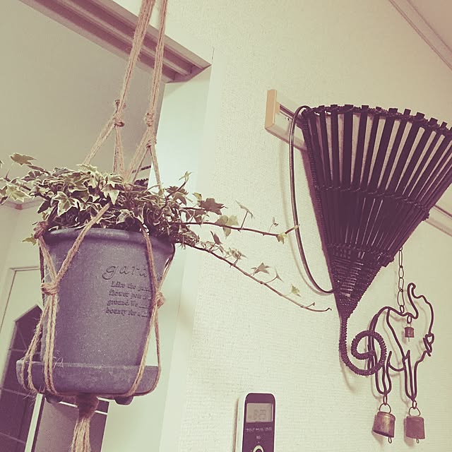 momotetsuさんの実例写真