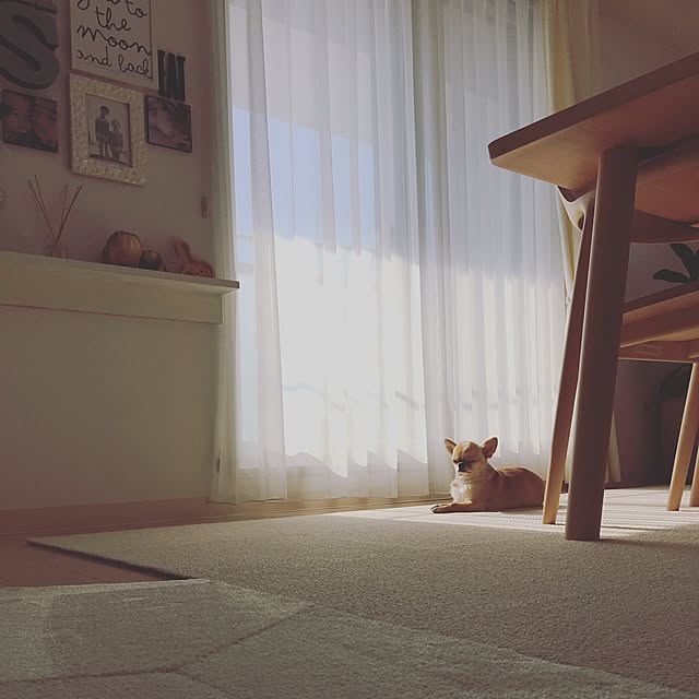 haruhinaさんの実例写真