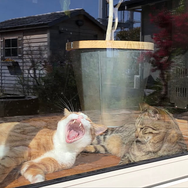akaneさんの実例写真
