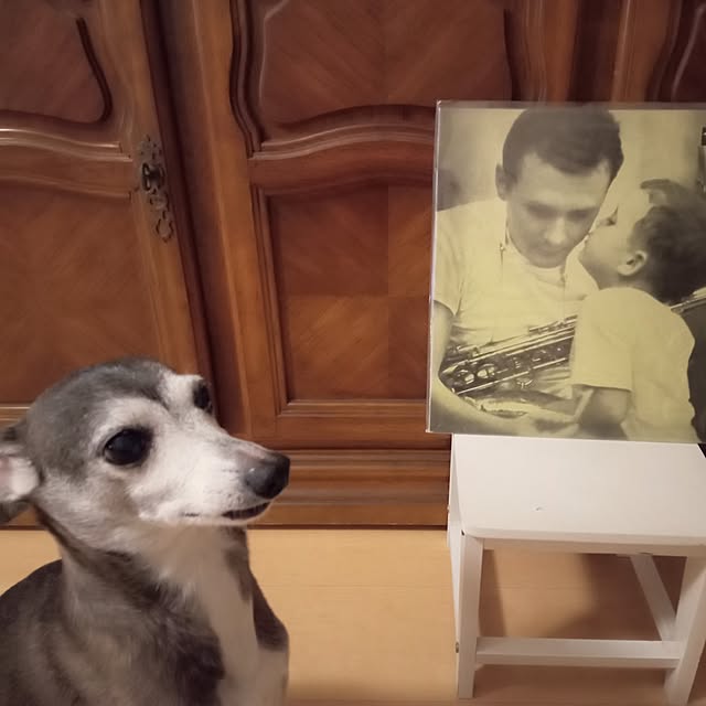 moruさんの実例写真