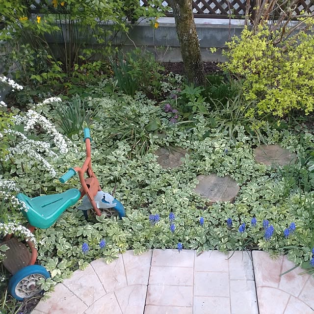 Hujikoさんの部屋