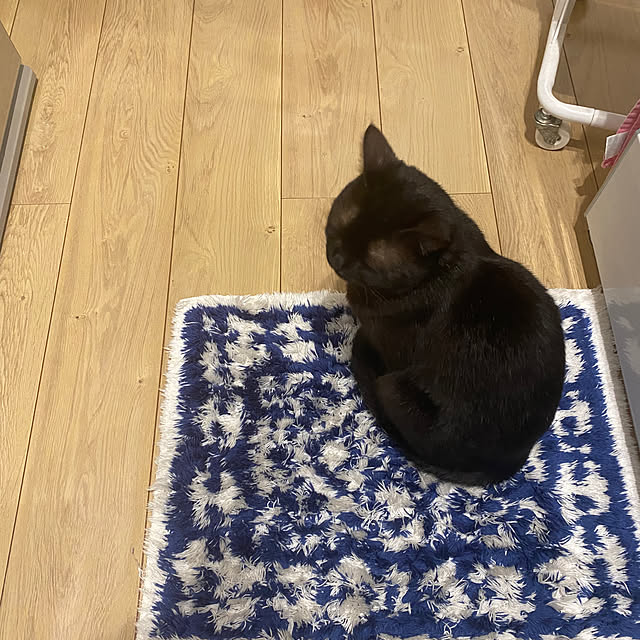 okapiさんの実例写真