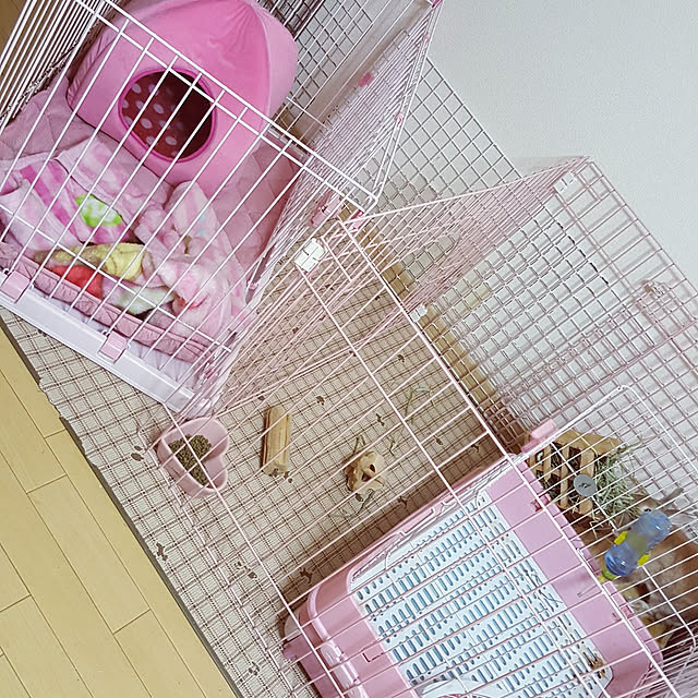 rviさんの実例写真