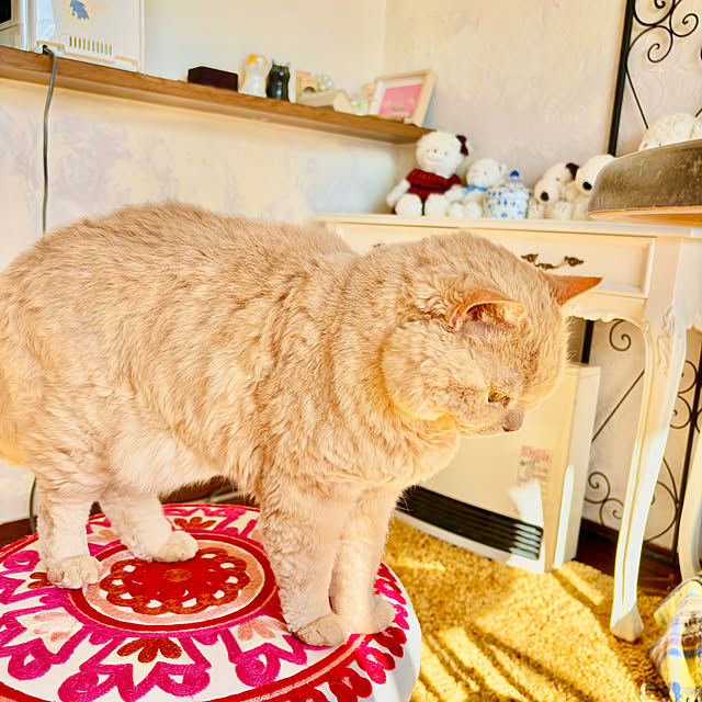 naokoさんの部屋