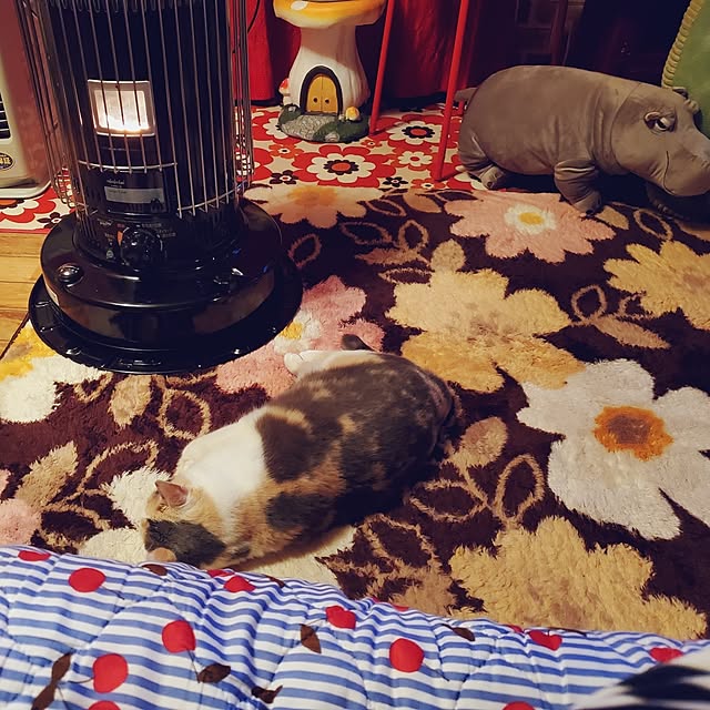 kumutanさんの部屋