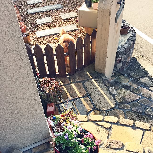 a-tanさんの実例写真