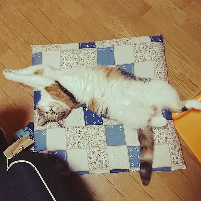yukieさんの実例写真