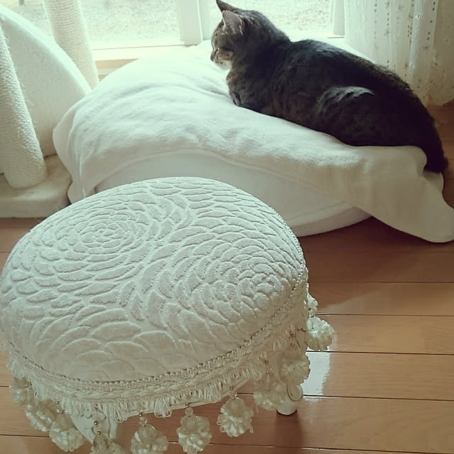 lilyさんの実例写真
