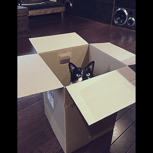 jnkaiさんの実例写真