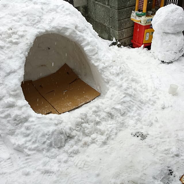 shabbybrownさんの実例写真