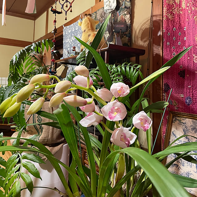 shin0719さんの実例写真