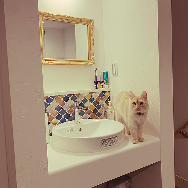 u-sh.haruさんの実例写真
