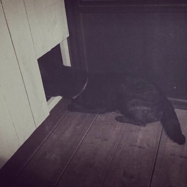 kkshoshoさんの実例写真