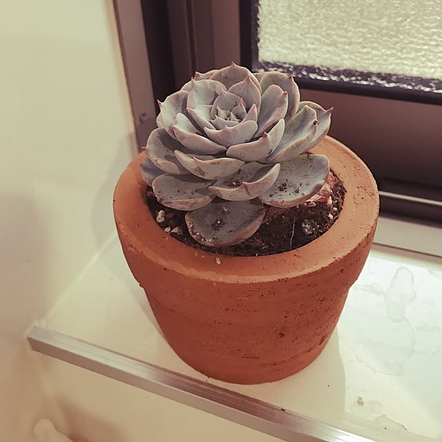 minamiさんの実例写真