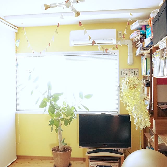 akaneさんの実例写真