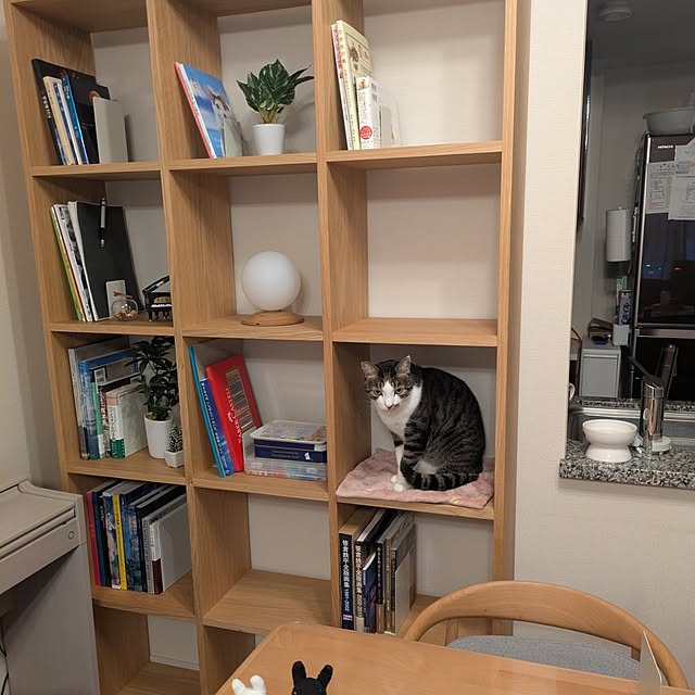 latteさんの部屋