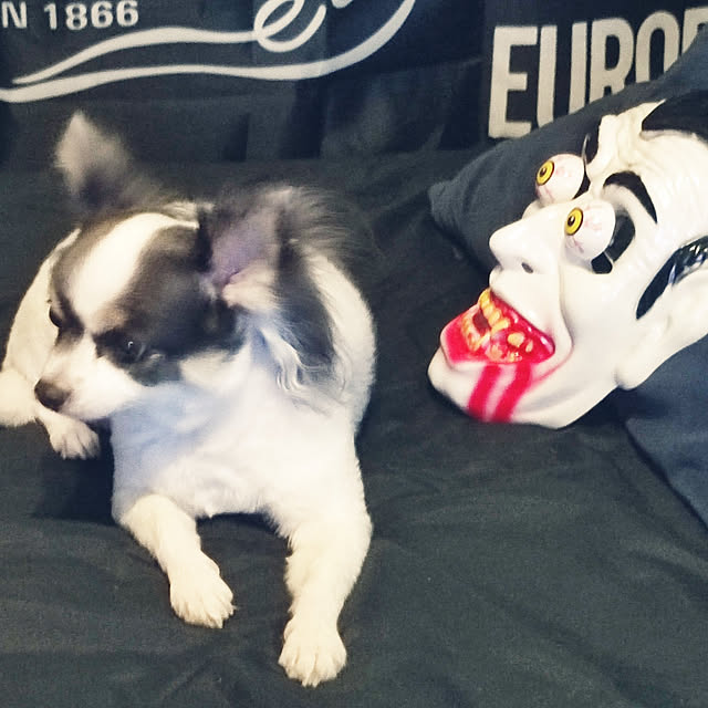 Tackunさんの実例写真