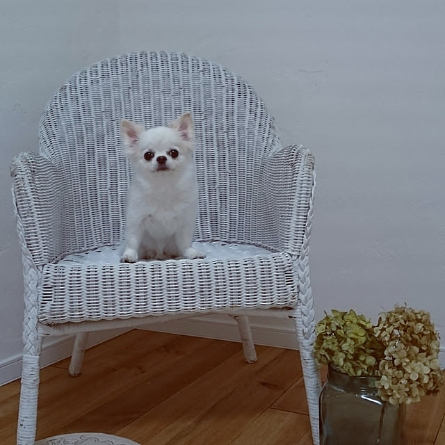 yukieさんの実例写真