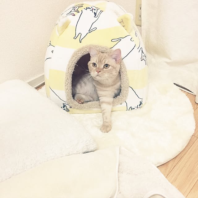 maさんの実例写真