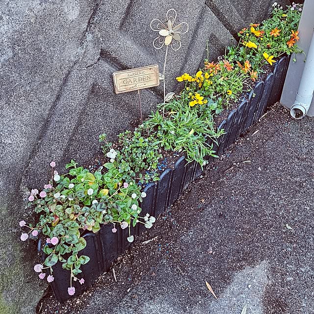 mocomocoさんの部屋