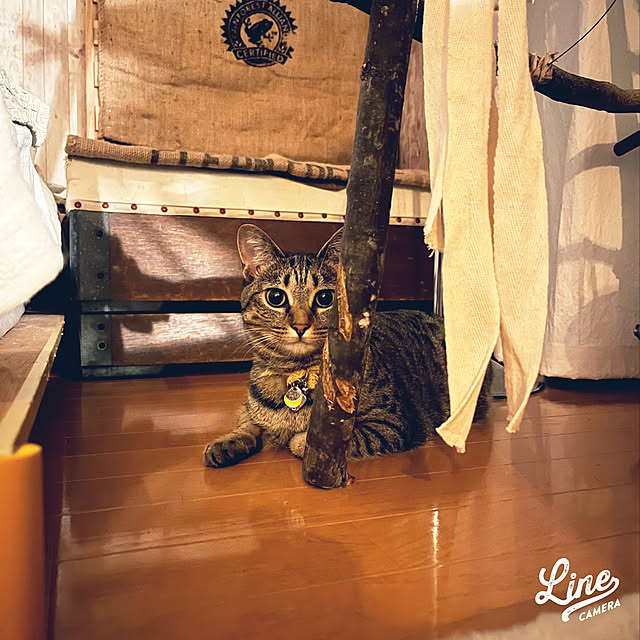 Mさんの実例写真