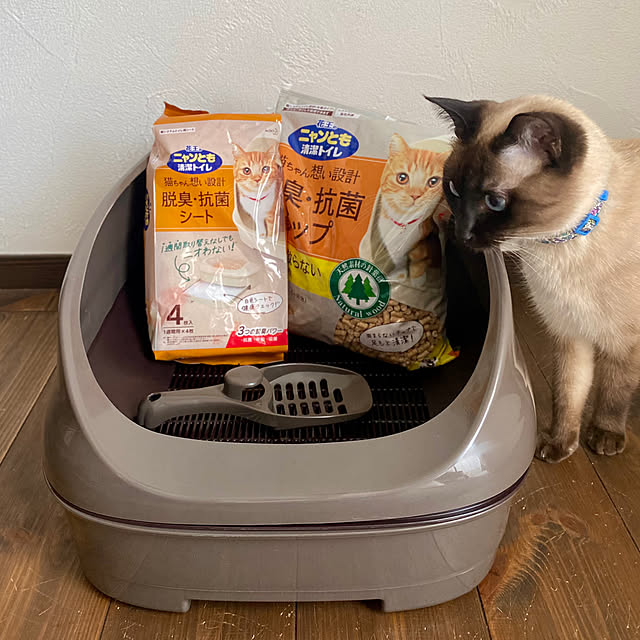 capelさんの実例写真
