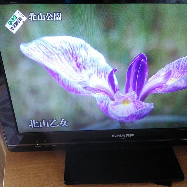 qpieさんの実例写真