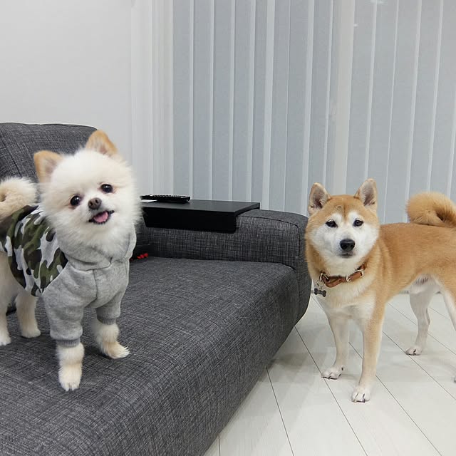 woo_bow_wowさんの実例写真