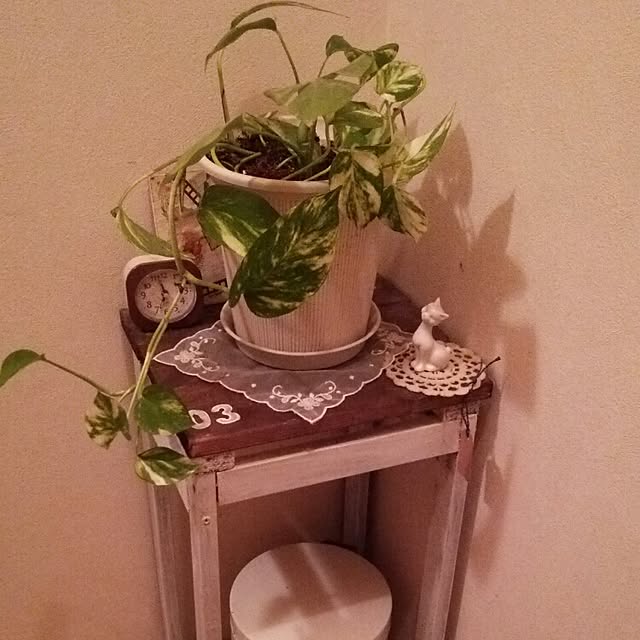 taketakeさんの実例写真