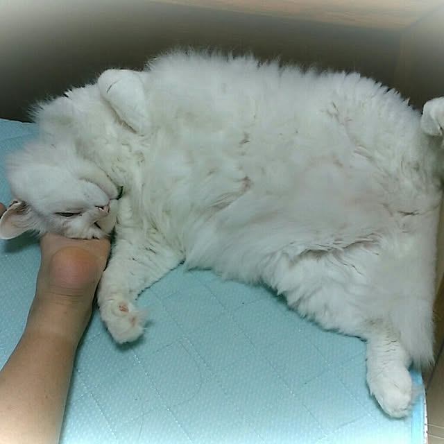 J.BOYさんの実例写真