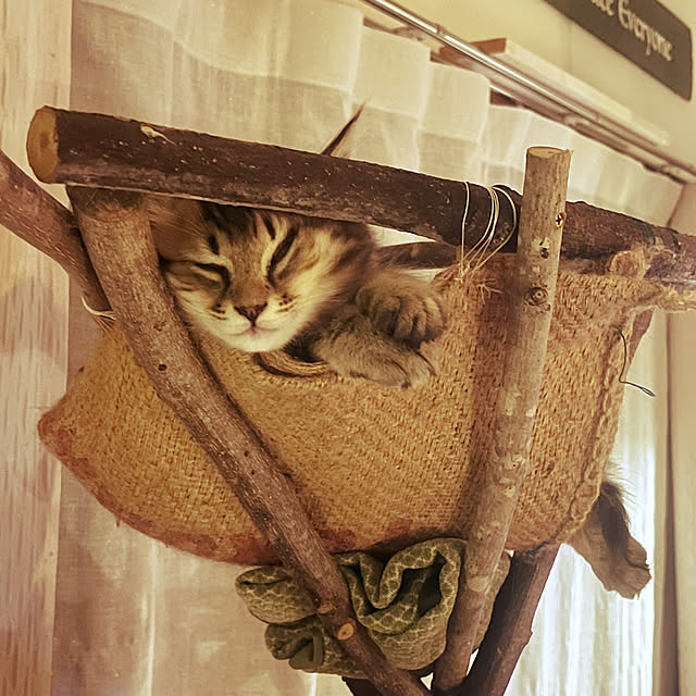 Mさんの実例写真