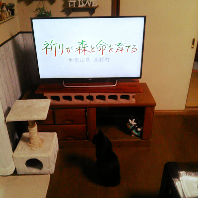 Tomopさんの実例写真