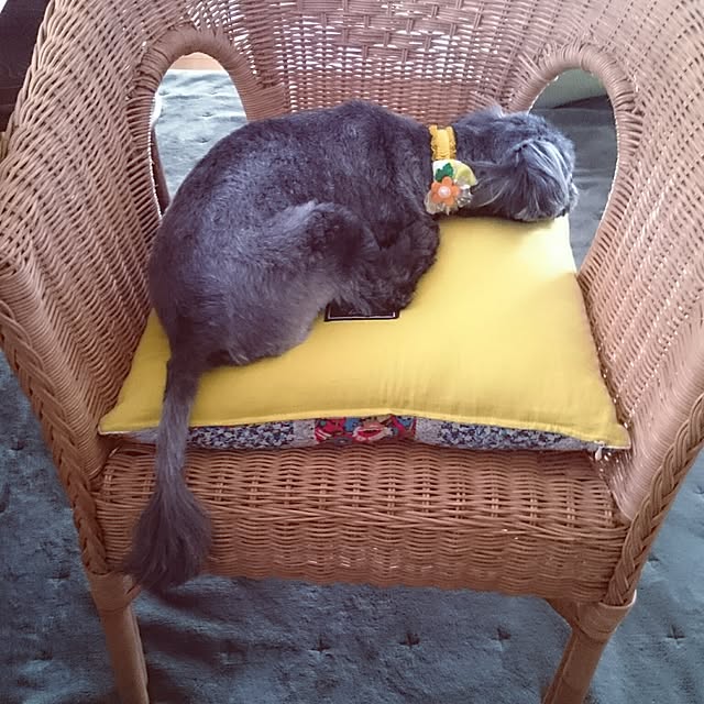 asaさんの実例写真