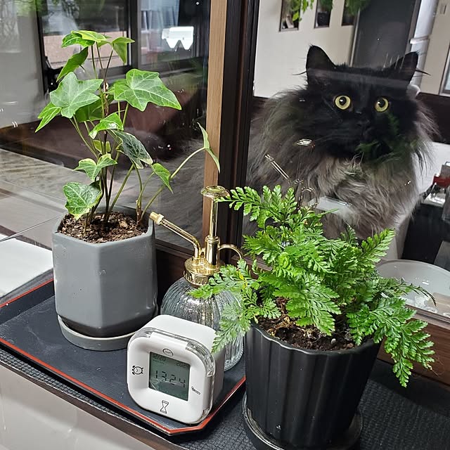 muku+maroさんの部屋