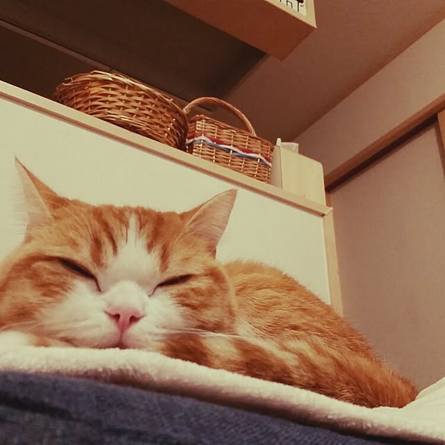 mi123さんの実例写真