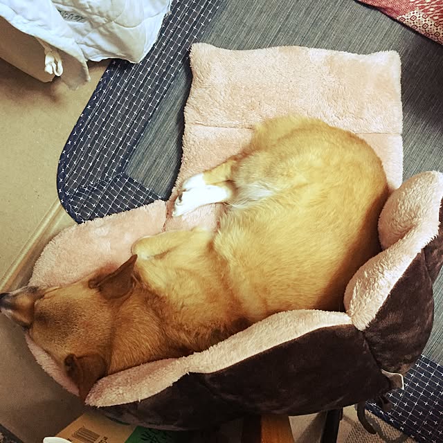 EMIさんの実例写真