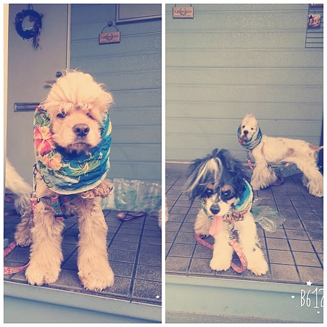 Mikiさんの実例写真